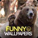 Funny wallpapers APK