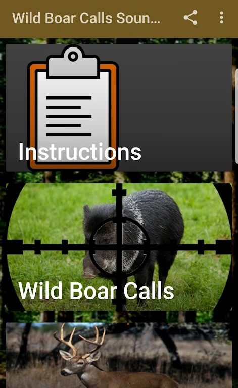 Wild Boar Hunting Calls Screenshot2