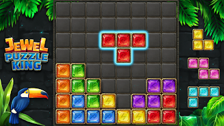 Jewel Puzzle King : Block Game Screenshot18