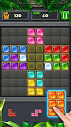 Jewel Puzzle King : Block Game Screenshot14