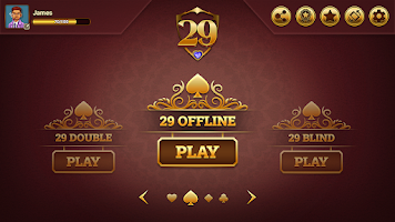 29 Royal Pro Card Game Offline Screenshot3