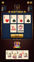 29 Royal Pro Card Game Offline Screenshot5