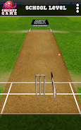 Blind Cricket Screenshot8