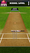 Blind Cricket Screenshot11