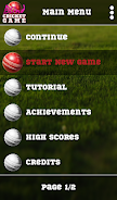 Blind Cricket Screenshot14