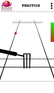 Blind Cricket Screenshot2