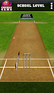 Blind Cricket Screenshot7