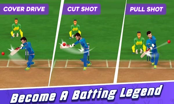 King Of Cricket Games Screenshot3