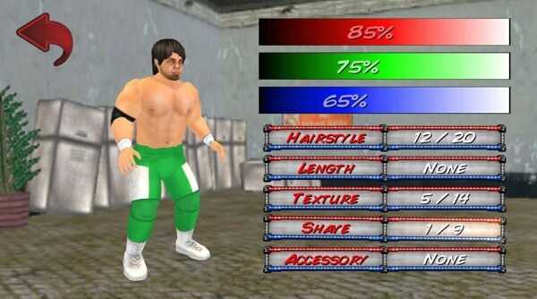 Wrestling Revolution 3D Screenshot4