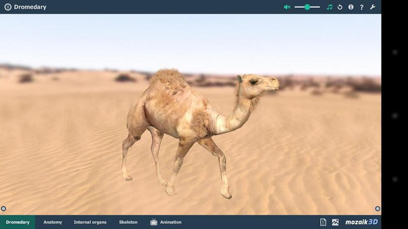 mozaik3D - Learning is fun! Screenshot17