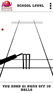 Blind Cricket Screenshot5