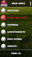 Blind Cricket Screenshot1