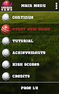 Blind Cricket Screenshot6