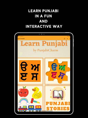 Learn Punjabi Screenshot10