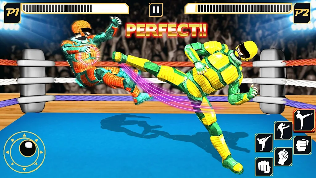 Real Robot Wrestling - Robot F Screenshot1