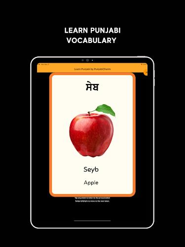 Learn Punjabi Screenshot23