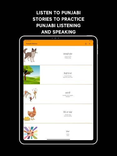 Learn Punjabi Screenshot20