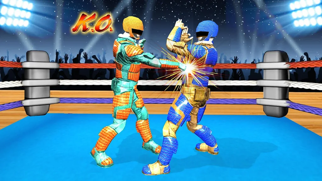 Real Robot Wrestling - Robot F Screenshot3