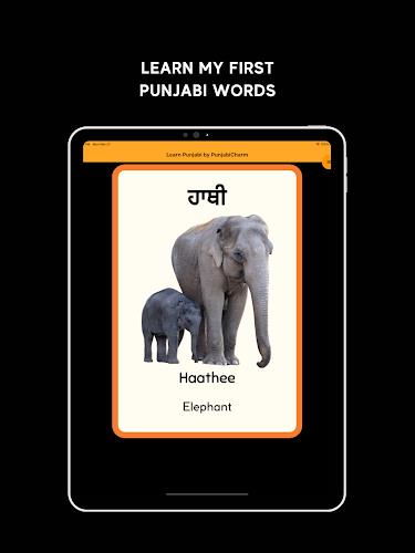 Learn Punjabi Screenshot24