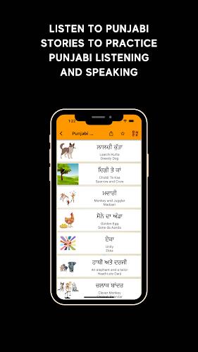 Learn Punjabi Screenshot8