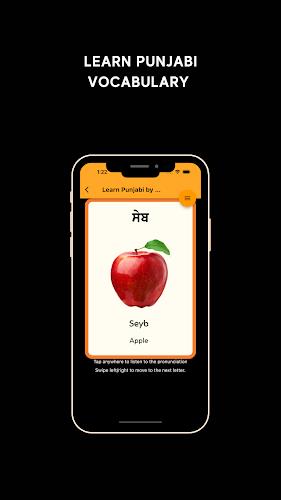 Learn Punjabi Screenshot4