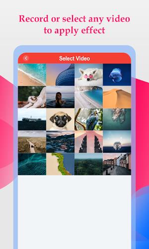 Slow And Fast Video Maker Screenshot1