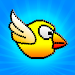 Birds Flying: Birds Games APK