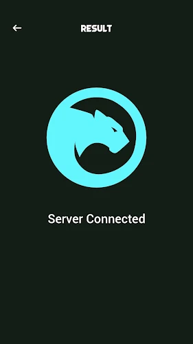 Leopard VPN Screenshot3