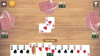 Callbreak & 29 Card Game Screenshot3