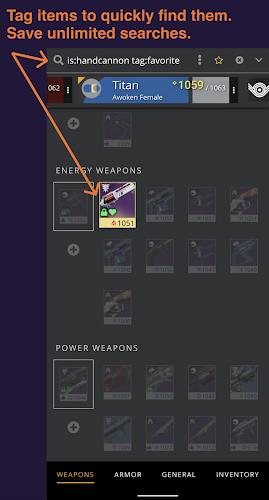 Destiny Item Manager Screenshot2