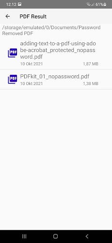 Bank Statement PDF Password Re Screenshot4