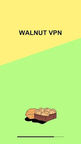 WALNUT VPN Screenshot3