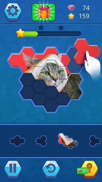 Hexa Jigsaw puzzle Screenshot1