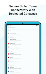 PureDome VPN for Businesses Screenshot8