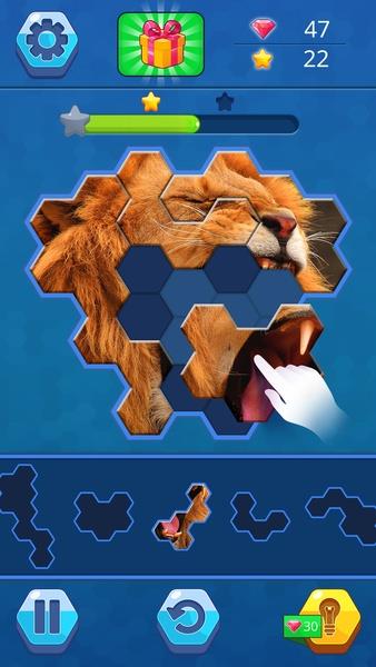 Hexa Jigsaw puzzle Screenshot2