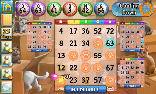 Bingo Cats Screenshot4