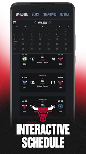 Chicago Bulls Screenshot2