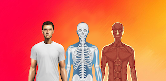 Body Scanner - Xray Scanner Screenshot3