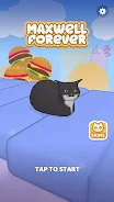 Maxwell Forever - Cat Game Screenshot1