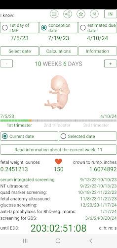 Pregnancy Due Date Calculator Screenshot1