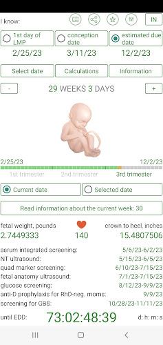 Pregnancy Due Date Calculator Screenshot3