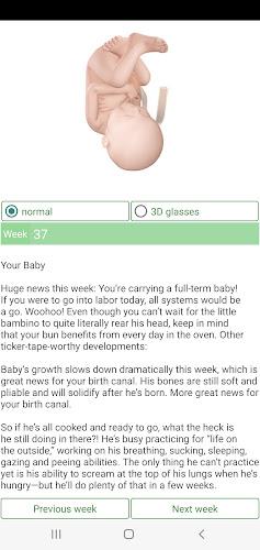 Pregnancy Due Date Calculator Screenshot6