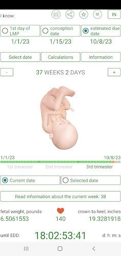 Pregnancy Due Date Calculator Screenshot12