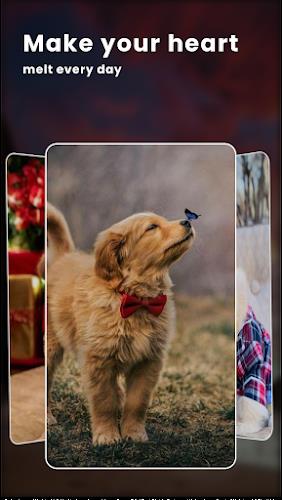 Puppy Love: Cute Dog Wallpaper Screenshot3