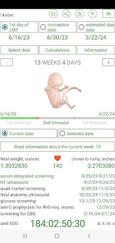 Pregnancy Due Date Calculator Screenshot16