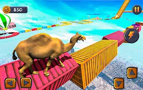 Trò Epic Cow Ramp Rush Run Screenshot5