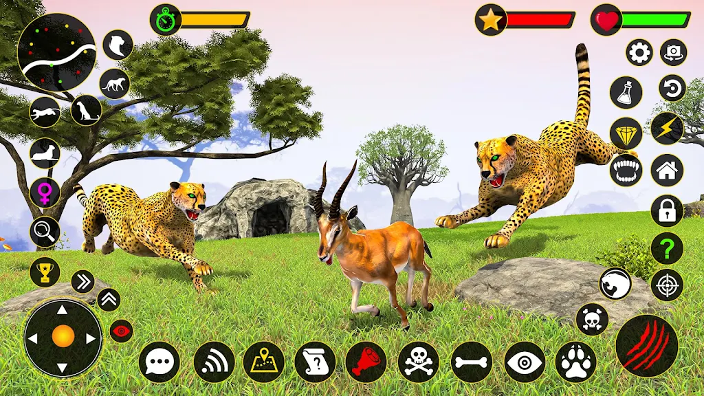 Cheetah Simulator Cheetah Game Free Mobile Game Apk Download - 51wma