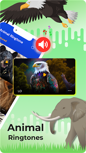 Animal Ringtones: Bird Sounds Screenshot3