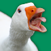 Angry Goose Simulator: Rampage APK