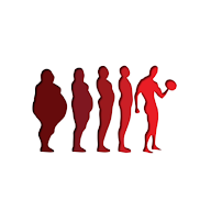 My Evolution Fitness APK